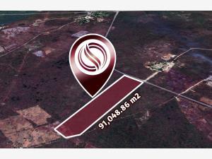 Terreno en venta en Valladolid Centro, Valladolid, Yucatán