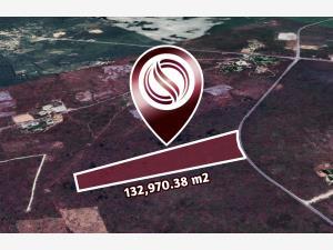 Terreno en venta en Valladolid Centro, Valladolid, Yucatán