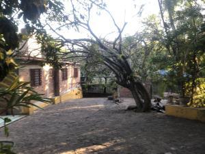 Casa en venta en Xoxocotla Centro, Xoxocotla, Morelos