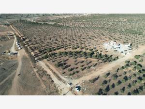Terreno en venta en Francisco Zarco (Valle de Guadalupe), Ensenada, Baja California