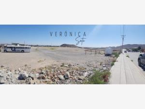 Terreno en venta en Palo Chino, Juárez, Chihuahua