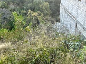 Terreno en venta en Lomas de Tzompantle, Cuernavaca, Morelos