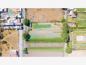 Terreno en remate en Cholula de Rivadabia Centro, San Pedro Cholula, Puebla