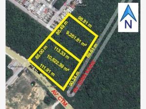 Terreno en venta en Playa del Carmen, Solidaridad, Quintana Roo