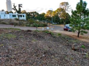 Terreno en venta en Bosque Monarca, Morelia, Michoacán de Ocampo