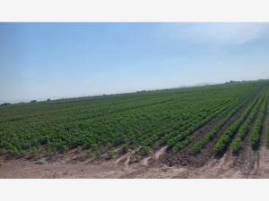 Terreno en venta en Vega Larga, San Pedro, Coahuila de Zaragoza