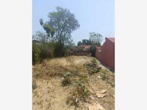 Terreno en venta en Las Fincas, Jiutepec, Morelos