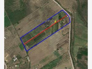 Finca-Rancho en venta en Los Asmoles, Colima, Colima