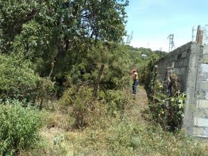 Terreno en venta en Ticumán, Tlaltizapán de Zapata, Morelos