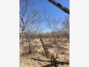 Terreno en venta en Tetelilla, Jonacatepec de Leandro Valle, Morelos