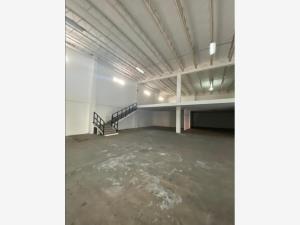 Bodega en renta en Pedro Lozano, Monterrey, Nuevo León