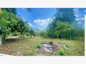 Terreno en venta en Mozambique, Medellín de Bravo, Veracruz de Ignacio de la Llave