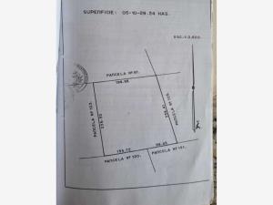 Terreno en venta en Placido Domingo, Lerdo, Durango