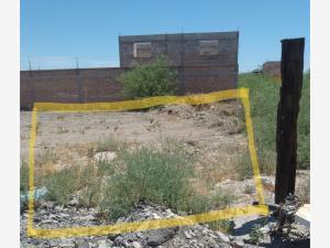 Terreno en venta en Tacubaya Uno (San José de los Álamos), San Pedro, Coahuila de Zaragoza