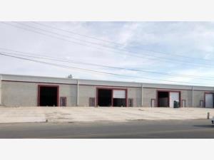 Bodega en renta en Nuevo Torreon, Torreón, Coahuila de Zaragoza