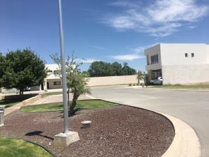 Terreno en venta en Las Acacias, Torreón, Coahuila de Zaragoza