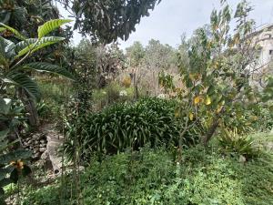 Terreno en venta en La Purificación Tepetitla, Texcoco, México