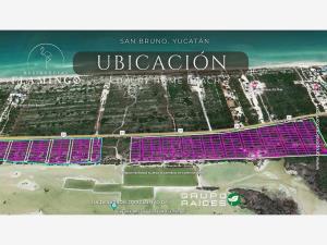 Terreno en venta en San Diego, Dzemul, Yucatán