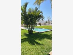 Casa en renta en Conkal, Conkal, Yucatán