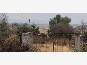 Terreno en venta en El Rincon, Jilotepec, México