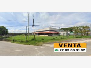 Terreno en venta en La Florida, Coatepec, Veracruz de Ignacio de la Llave