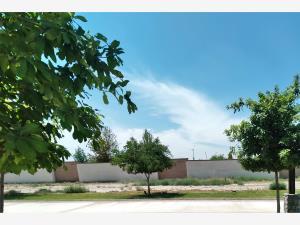 Terreno en venta en La Gran Vinícola, Gómez Palacio, Durango