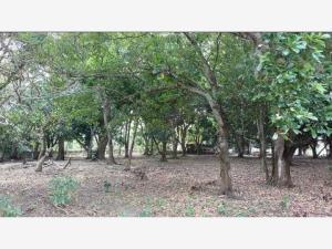 Terreno en venta en Medellín, Medellín de Bravo, Veracruz de Ignacio de la Llave