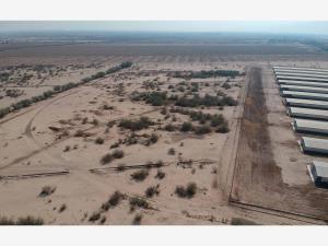Terreno en venta en San Roque, Gómez Palacio, Durango