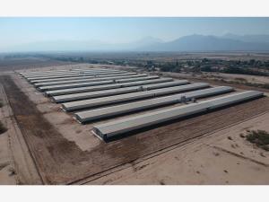 Terreno en venta en San Roque, Gómez Palacio, Durango