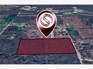 Terreno en venta en Conkal, Conkal, Yucatán