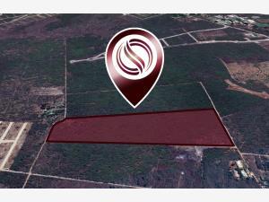 Terreno en venta en Conkal, Conkal, Yucatán