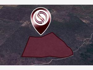 Terreno en venta en Conkal, Conkal, Yucatán