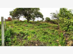 Terreno en venta en Chichco (Chisco), Tepoztlán, Morelos