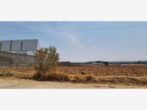 Terreno en renta en Chipilo de Francisco Javier Mina, San Gregorio Atzompa, Puebla