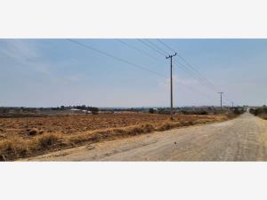 Terreno en venta en Chipilo de Francisco Javier Mina, San Gregorio Atzompa, Puebla