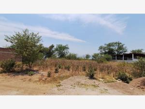 Terreno en venta en Patria, El Grullo, Jalisco