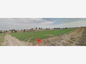 Terreno en renta en Chipilo de Francisco Javier Mina, San Gregorio Atzompa, Puebla