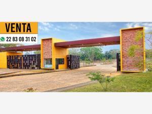 Terreno en venta en El Grande, Coatepec, Veracruz de Ignacio de la Llave