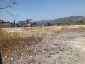 Terreno en venta en Las Estacas, Tlaltizapán de Zapata, Morelos