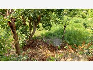 Terreno en venta en Adolfo Lopez Mateos, Papantla, Veracruz de Ignacio de la Llave