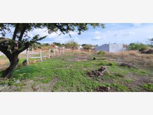 Terreno en venta en Acapatzingo, Cuernavaca, Morelos