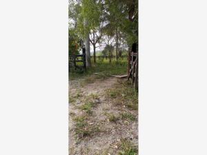 Terreno en venta en El Coyol, Tuxpan, Veracruz de Ignacio de la Llave