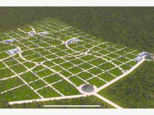 Terreno en venta en Chicxulub, Chicxulub Pueblo, Yucatán