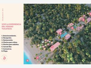 Terreno en venta en Chicxulub, Chicxulub Pueblo, Yucatán