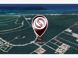 Terreno en venta en Aldea Zama, Tulum, Quintana Roo