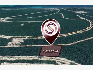 Terreno en venta en Aldea Zama, Tulum, Quintana Roo