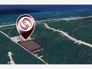 Terreno en venta en Aldea Zama, Tulum, Quintana Roo