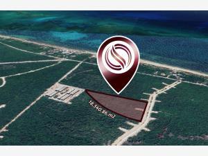 Terreno en venta en Aldea Zama, Tulum, Quintana Roo
