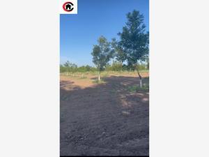 Finca-Rancho en venta en Lazaro Cardenas, Meoqui, Chihuahua