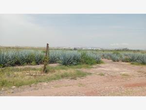Terreno en venta en Rinconada la Loma, Ixtlahuacán de los Membrillos, Jalisco